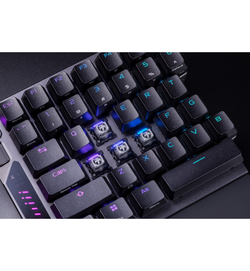 Asus ROG Falcata 75% Wireless Gaming Keyboard - ROG HFX V2 Magnetic