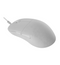 Endgame Gear XM2 8K 52g Optical Gaming Mouse - White Frost