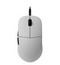 Endgame Gear XM2 8K 52g Optical Gaming Mouse - White