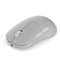 Endgame Gear XM2w 4K V2 62g Wireless Gaming Mouse - White Frost