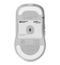 Endgame Gear XM2w 62g 4K Wireless Gaming Mouse - White Frost
