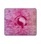 EspTiger Grand Master Jin Gaming Mousepad