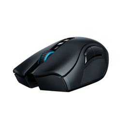 Razer Naga Pro Wireless Gaming Mouse