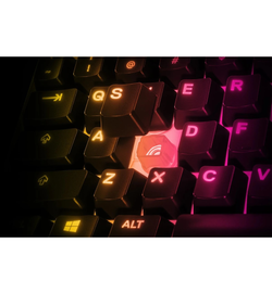 SteelSeries Apex 3 TKL Gaming Keyboard - Whisper-Quiet Membrane Switches