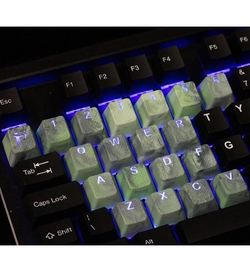 Tai-Hao Divine Beasts Rubber Backlit 23 Keycaps - GENBU