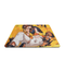 VAXEE PA Summer25 Series Mousepad - Tortoiseshell Cats