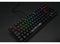 Ducky One 2 RGB TKL Mechanical Keyboard - Cherry MX Black Switches