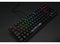 Ducky One 2 RGB TKL Mechanical Keyboard - Cherry MX Blue Switches