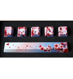 Traitors PBT Sakura Shiro Dye-Sub 6 Keycap Set