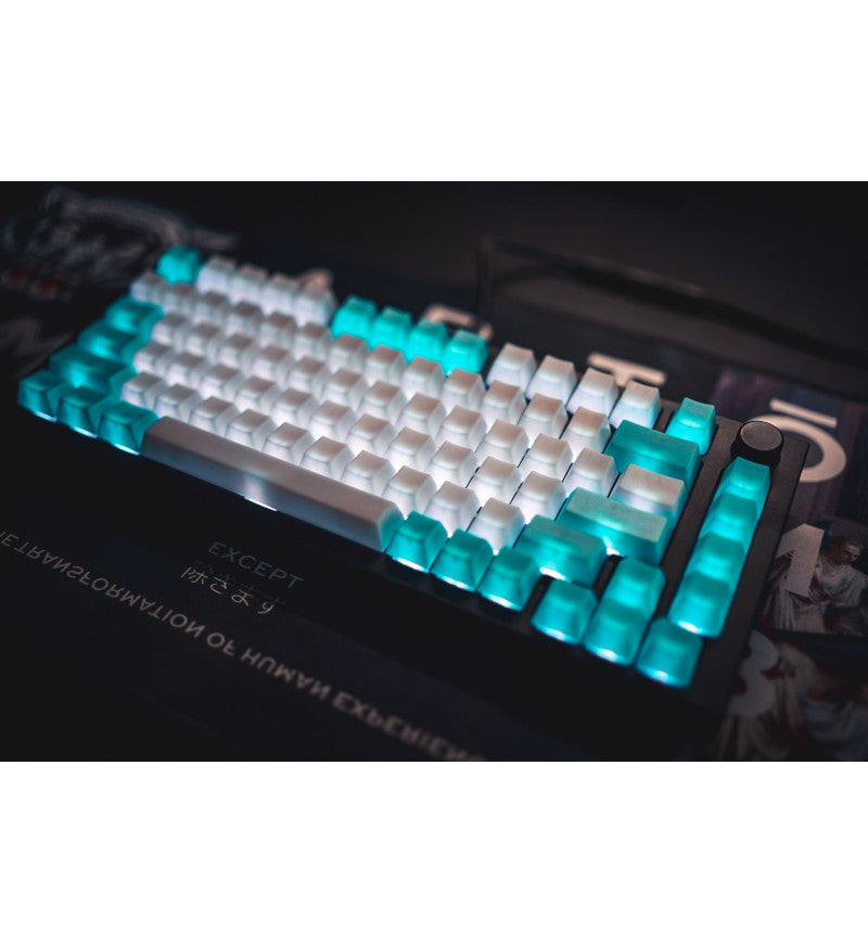 Tai-Hao Translucent Cubic ABS Nata De Coco Blue White 149 Keycaps - UK & US